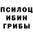 Галлюциногенные грибы прущие грибы MrEpicNeo