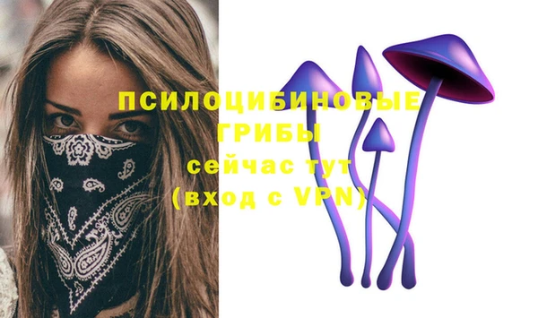 прущая мука Армянск