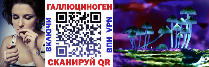Псилоцибиновые грибы Cubensis  omg ССЫЛКА  Ейск 