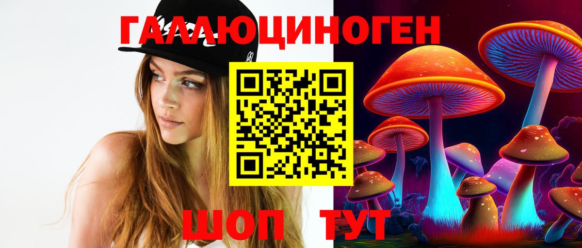 Ейск  Галлюциногенные грибы Psilocybine cubensis  Вход с VPN 