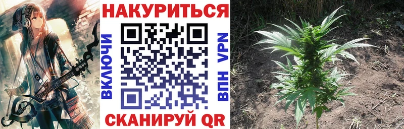 Конопля THC 21%  закладки  площадка клад  Ейск 